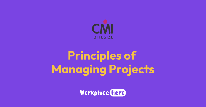 Principles of Managing Projects image