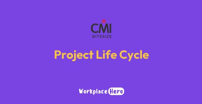 Project Life Cycle image